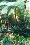 ./Images/Flowers20030007.jpg