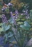 ./Images/Flowers20030032.jpg
